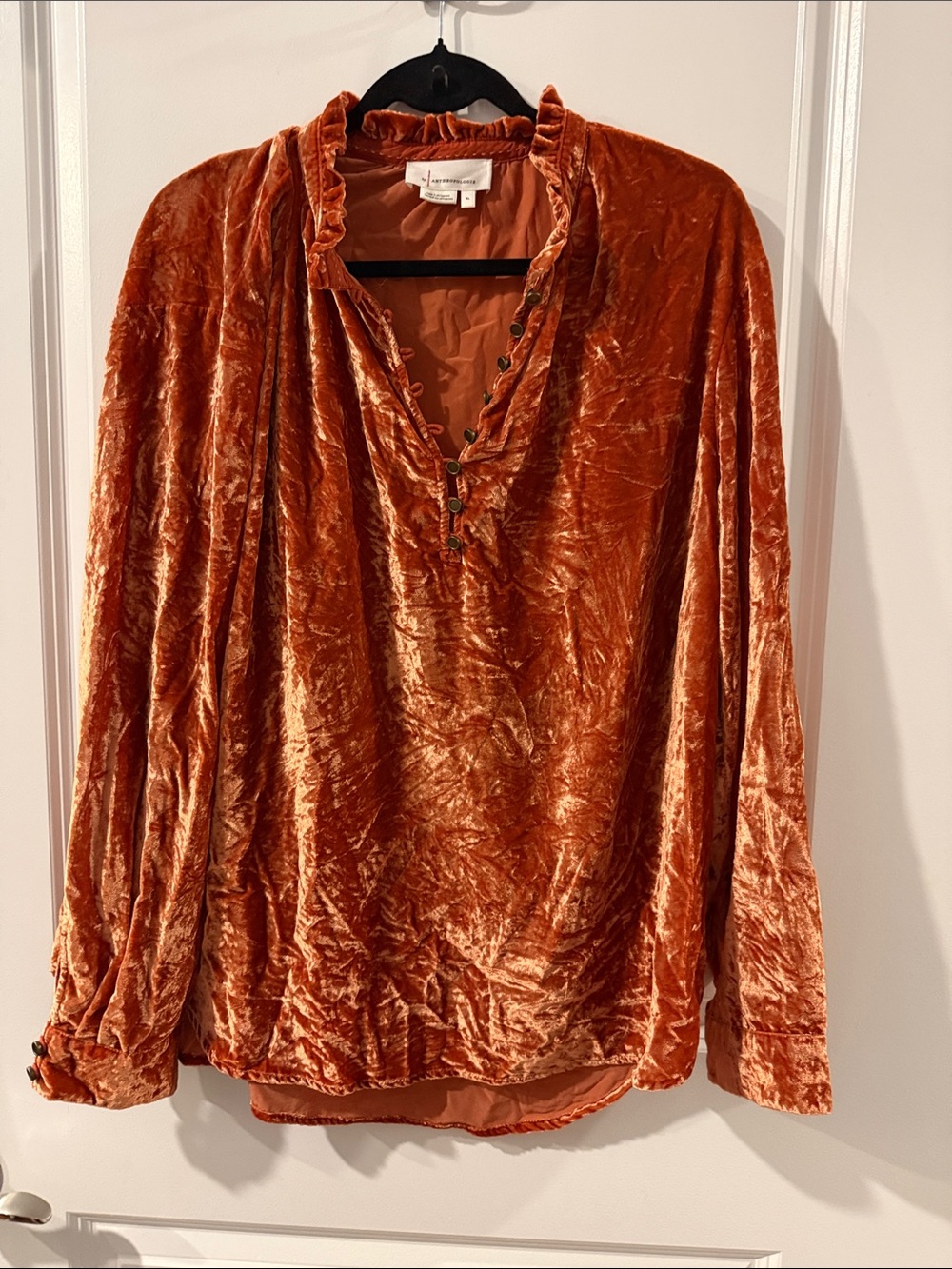 Anthropologie Crushed Velvet Blouse - Rust